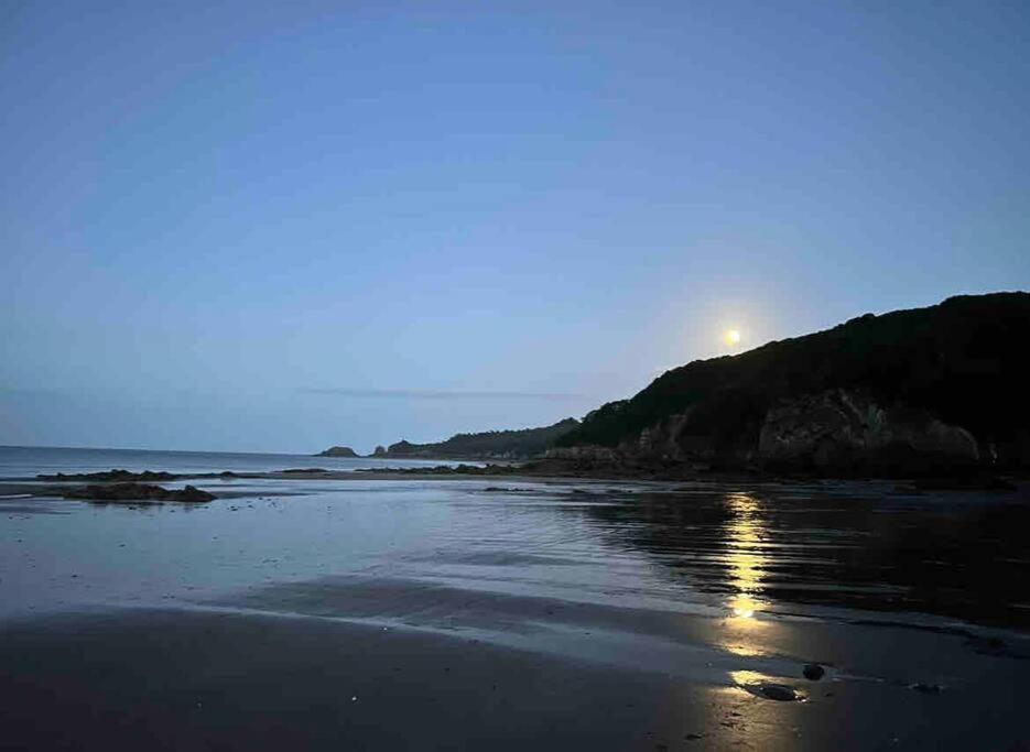 Rhodewood House Saundersfoot Apartment Bagian luar foto
