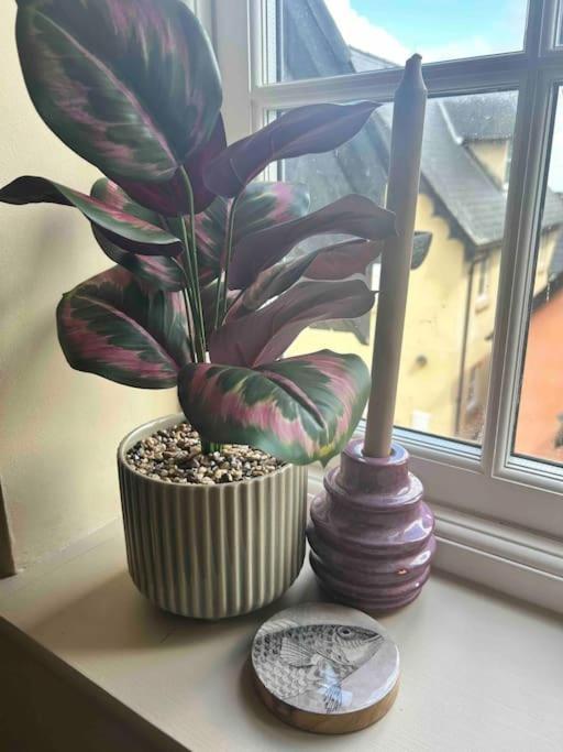 Rhodewood House Saundersfoot Apartment Bagian luar foto